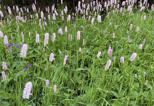 22-05-29 14-51-43 0991